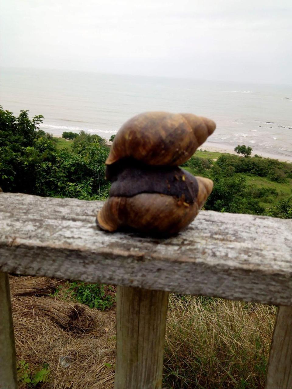 Abuesi Beach Resort Sekondi-Takoradi Exteriör bild